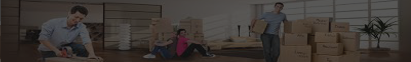 about-banner