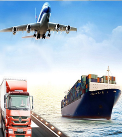 Rohtak Packers and movers