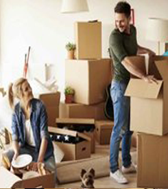 Rohtak Packers and movers