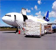 Rohtak Packers and movers