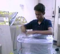 Rohtak Packers and movers